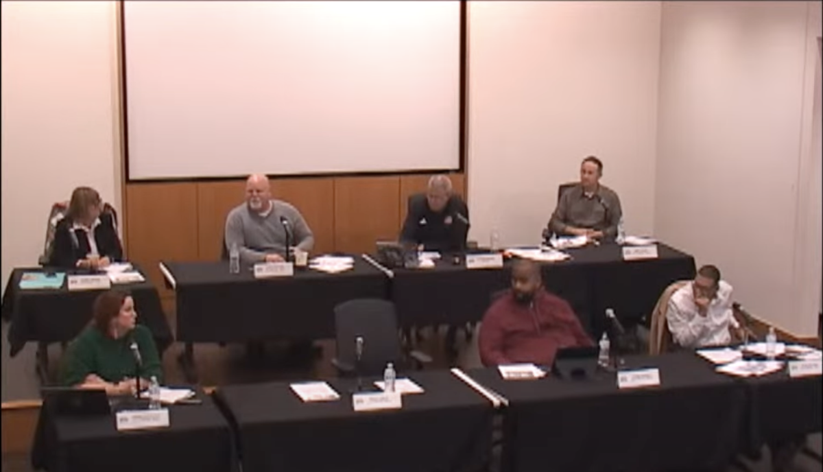 The city of DeKalb met on Monday to discuss topics including funding of social programs. Community members raised concerns about a recently announced program for police to patrol city buses. (City of DeKalb Youtube)